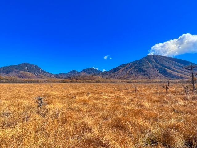戦場ヶ原の景色